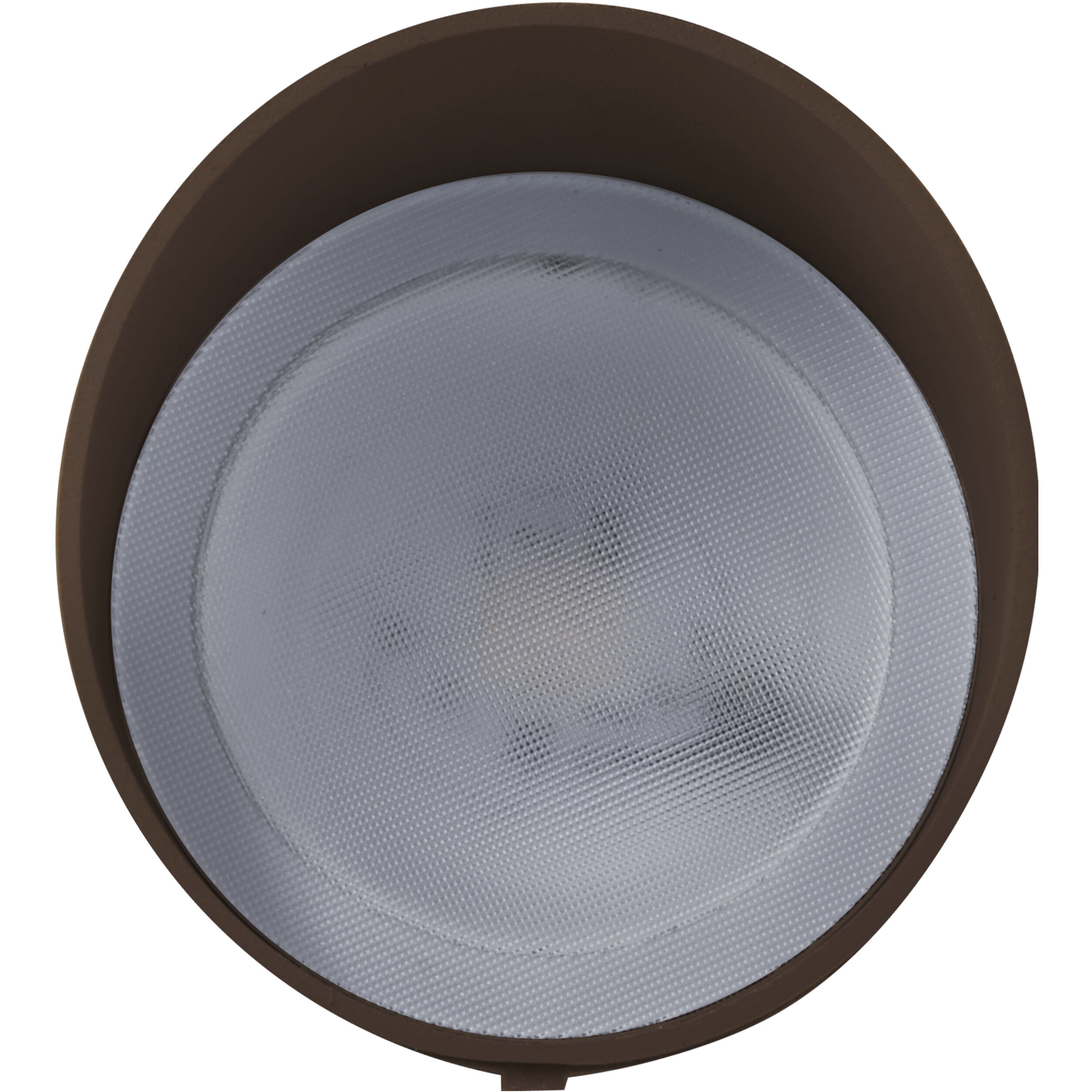 Brentwood 120 12.00 watt Bronze Landscape Flood