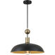 Biloxi 1 Light 23.88 inch Coal And Weathered Antique Brass Pendant Ceiling Light