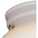 Elowen 2 Light 10 inch White Flush Mount Ceiling Light