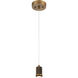 Port Nine LED 9 inch Antique Brushed Brass Pendant Ceiling Light in Clear