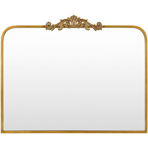Aarlen 36 X 29 inch Gold Mantel Mirror