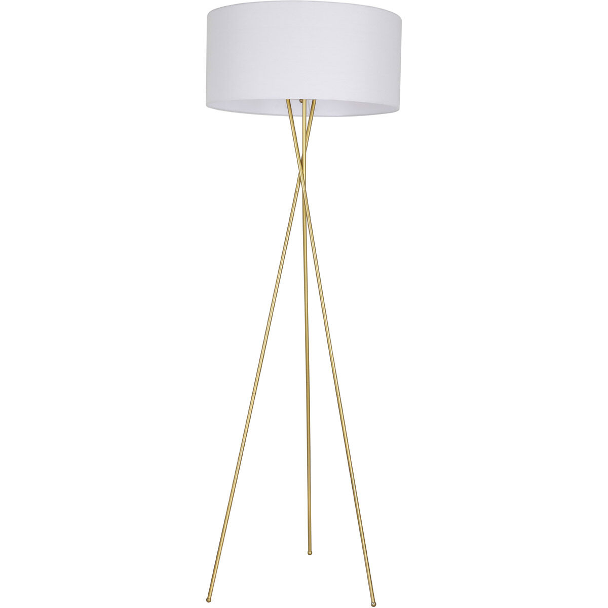 Cason 66 inch 60 watt Brass Floor lamp Portable Light