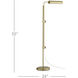 Satire 55 inch 10 watt Brushed Brass Floor Lamp Portable Light