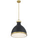 Lynk 1 Light 16.5 inch Legacy Brass and Matte Coal Pendant Ceiling Light