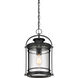 Booker 1 Light 11 inch Mystic Black Mini Pendant Ceiling Light, Small