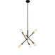 Newtown 6 Light 17 inch Black and Brass Pendant Ceiling Light