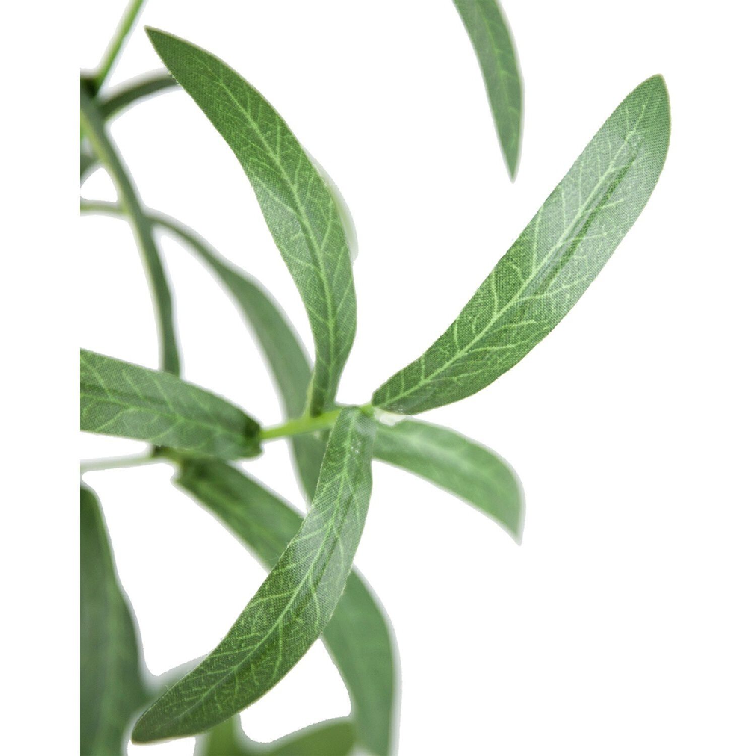 Olive Tree Green and Black Faux Plant