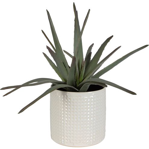 Taos Green with Ivory and Beige Glaze Aloe Centerpiece