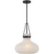 Traditional 1 Light 15 inch Matte Black Pendant Ceiling Light