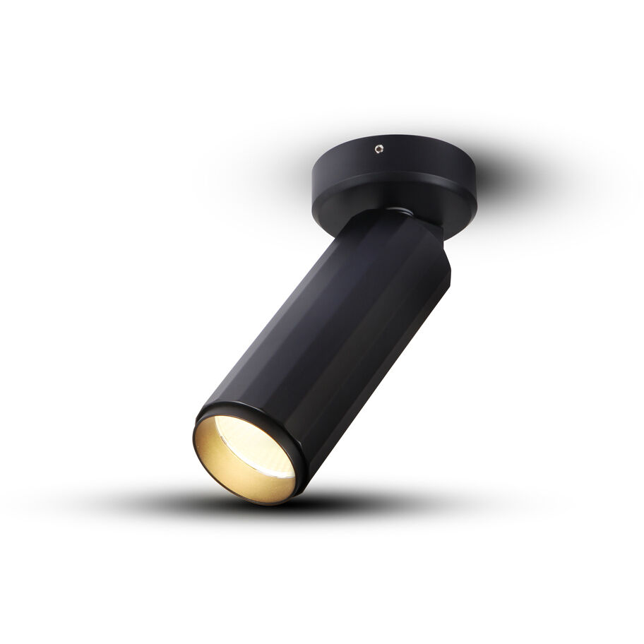 ORBIT Series Black Surface Mounted Downlight Ceiling Light