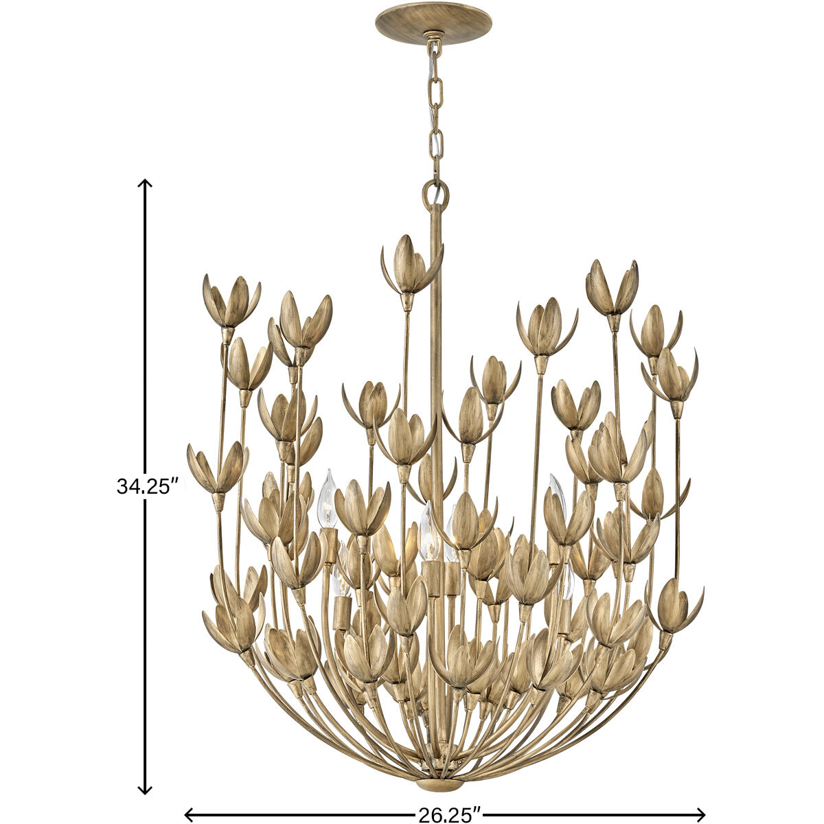 Lisa McDennon Flora 6 Light 26.25 inch Burnished Gold Indoor Chandelier Ceiling Light
