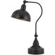 Industrial 1 Light 9.00 inch Desk Lamp
