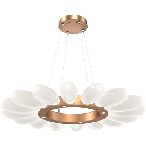 Fiori LED 18.3 inch Novel Brass Chandelier Ceiling Light, Radial Ring