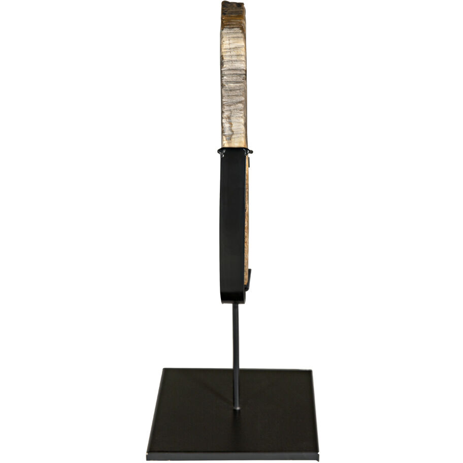 Wood Fossil Matte Black Decorative Object