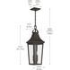 Cleary 2 Light 8.5 inch Olde Bronze Outdoor Pendant