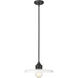 Paloma 1 Light 14 inch Matte Black Pendant Ceiling Light