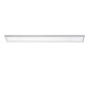 Delgado LED 48 inch White Linear Flush Mount Ceiling Light in 120V