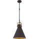 Fenric 1 Light 13.75 inch Dark Bronze and Legacy Brass Pendant Ceiling Light