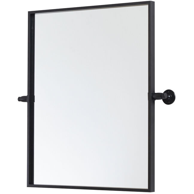 Everly 24 X 20 inch Black Mirror