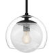 Eslinger 1 Light 10 inch Matte Black Mini Pendant Ceiling Light, Small