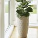 Nereus Grey Planter, Tall-Small