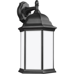 Sevier 1 Light 18.75 inch Black Outdoor Wall Lantern, Large