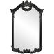 Roman 51 X 32 inch Black Wall Mirror 
