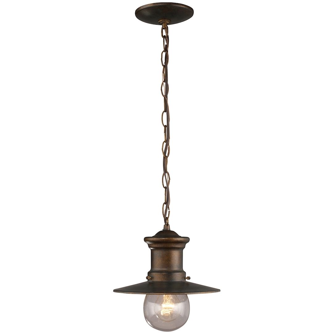 Maritime 1 Light 9 inch Hazelnut Bronze Outdoor Pendant