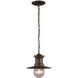 Maritime 1 Light 9 inch Hazelnut Bronze Outdoor Pendant