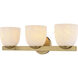 Bosworth 3 Light 22 inch Muted Brass Bathroom Light Wall Light