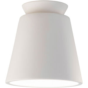 Radiance Collection 1 Light 7.5 inch Celadon Green Crackle Outdoor Flush-Mount