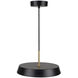 Lexi LED 12 inch Black Pendant Ceiling Light