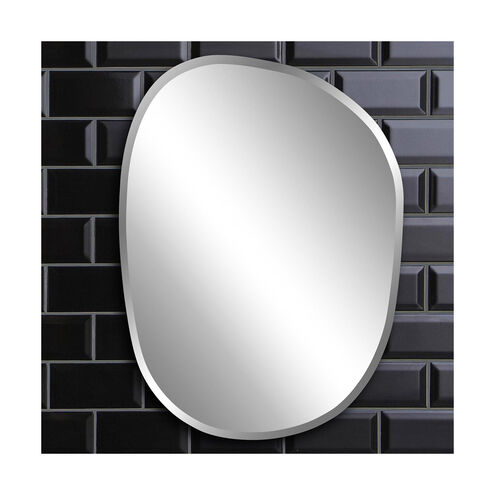 Carter 24 X 18 inch Mirrored Wall Mirror