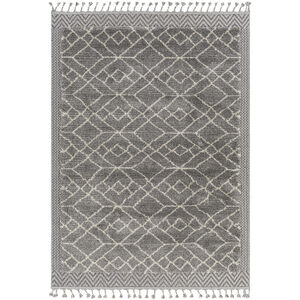 Sousse 67 X 50 inch Gray Rug, Rectangle