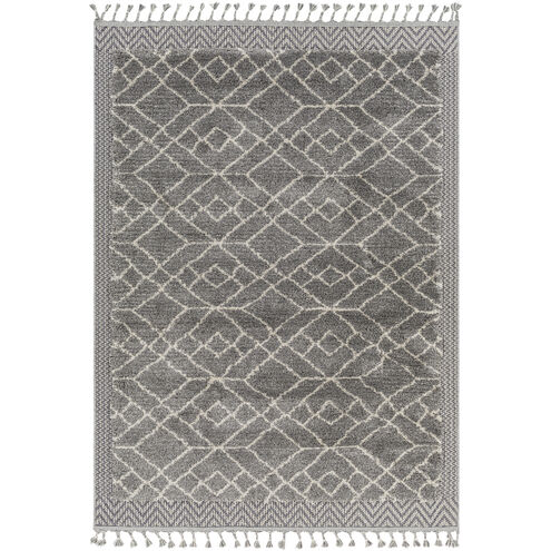 Sousse 87 X 66 inch Gray Rug, Rectangle