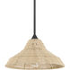 Agoura 1 Light 14 inch Matte Black Pendant Ceiling Light, Medium