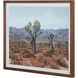 Desert 25.5 X 21.5 inch Painting, Land