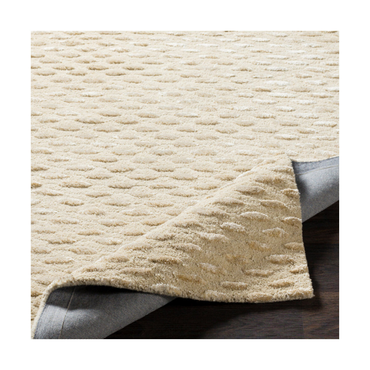 Atlantis 96 X 60 inch Cream/Beige Rugs, Rectangle