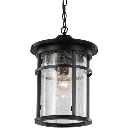 Avalon 1 Light 11 inch Rust Outdoor Hanging Lantern