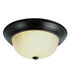 Breakwater 2 Light 11 inch Rubbed Oil Bronze Flushmount Ceiling Light
