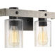 Gulliver 2 Light 16 inch Graphite Bath Vanity Wall Light