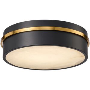 Dax LED 12 inch Black and Brass Flush Mount Ceiling Light