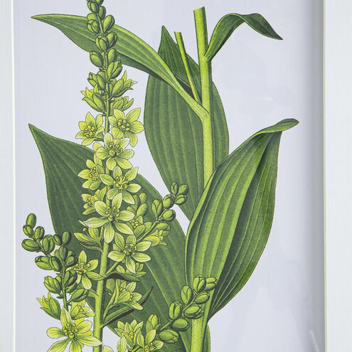 Anita Black/White Wall Art