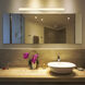 Procyon 36 inch Silver Bathroom Vanity Light Wall Light