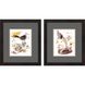 Animals Collection Orange Framed Art