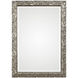 Evelina 35 X 25 inch Burnished Metallic Silver Wall Mirror