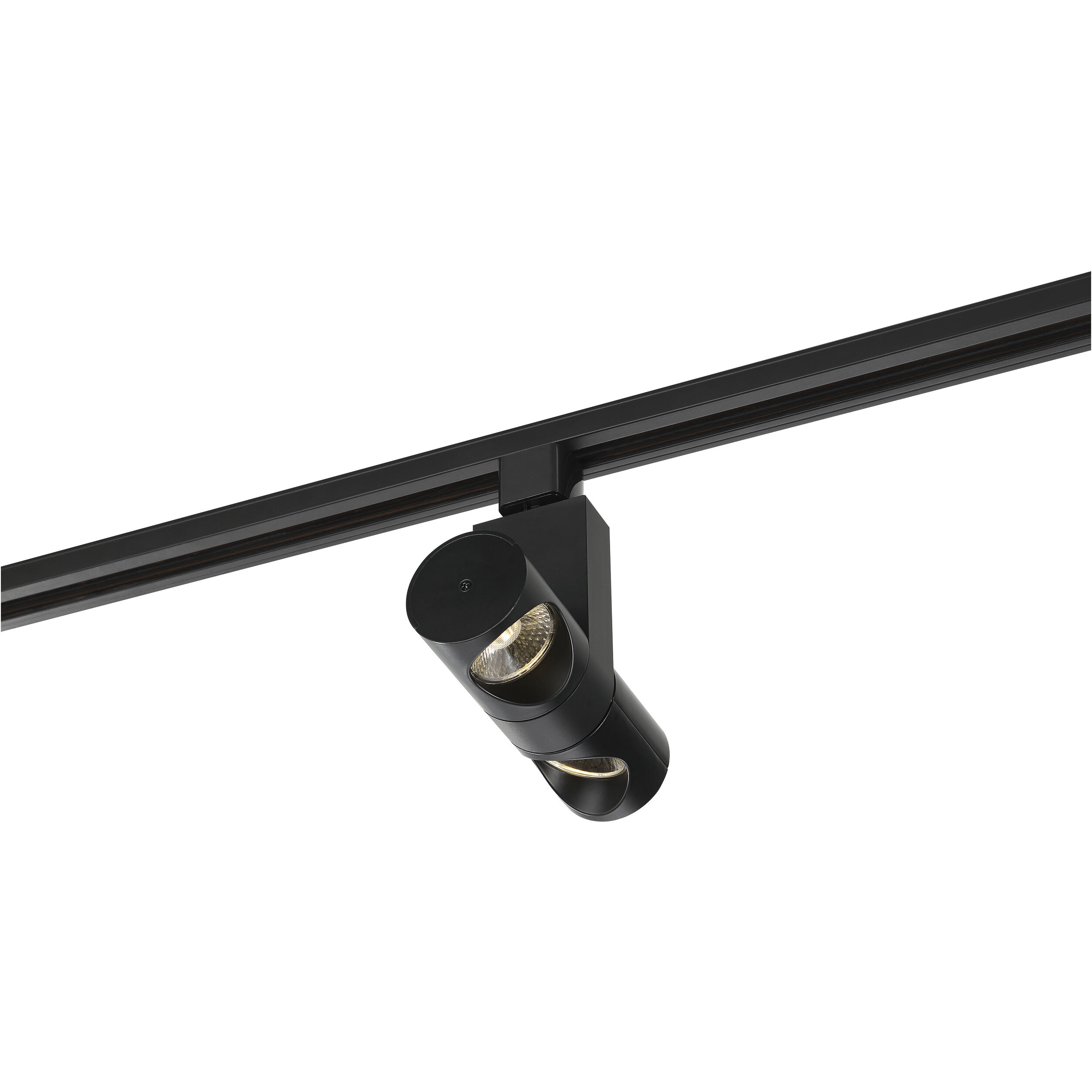 Dual Pipe 120 Black Track Head Ceiling Light