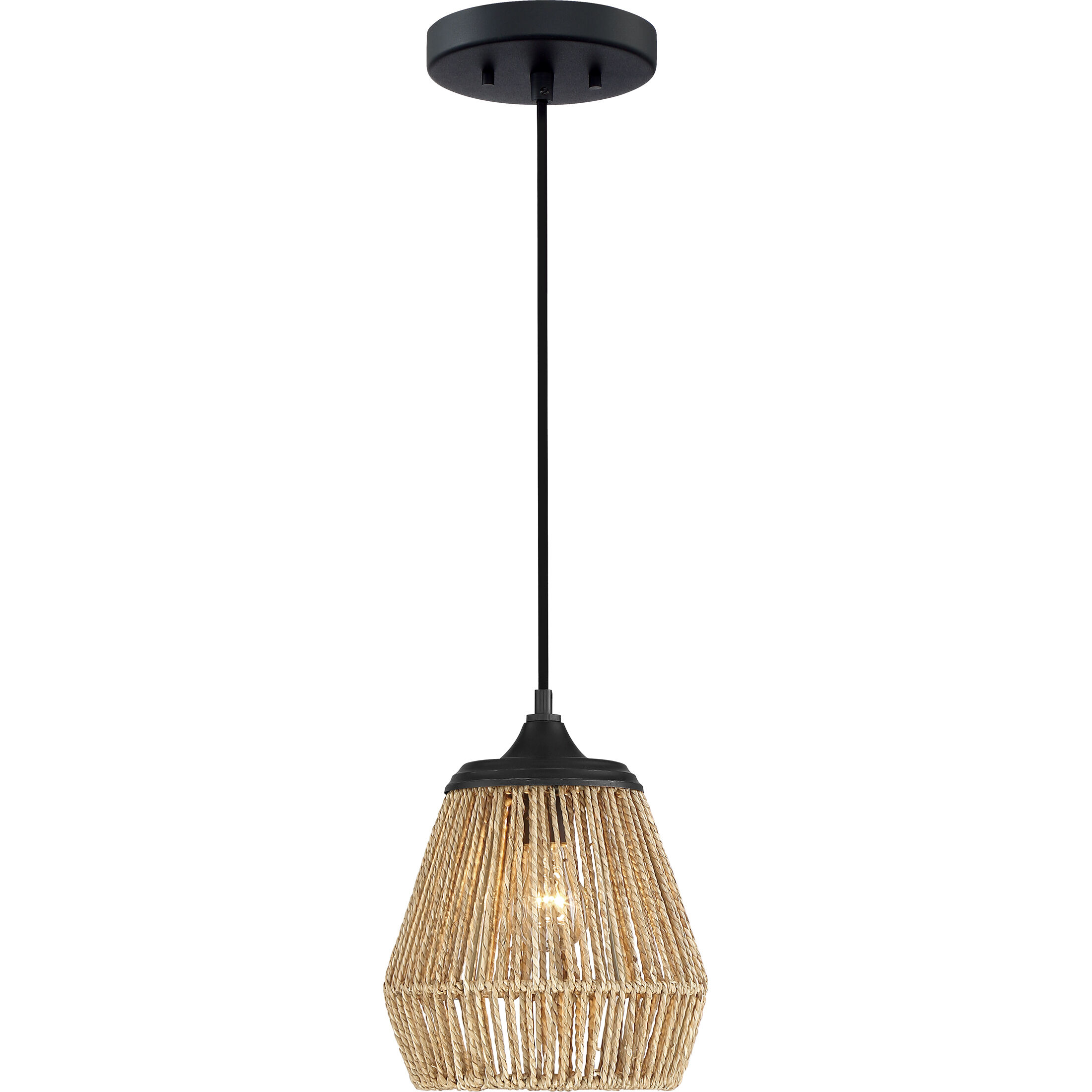 Romain 1 Light 9 inch Earth Black Mini Pendant Ceiling Light 