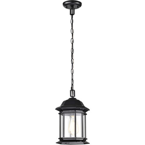 Hopkins 7 inch Matte Black Outdoor Hanging Lantern