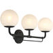 Whitehall 3 Light 28 inch Dark Matte Black Vanity Light Wall Light